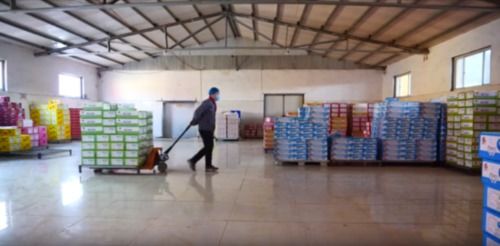 河北寧晉 著力推動食品加工產業高質量發展