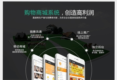 公眾平臺(tái)開發(fā)