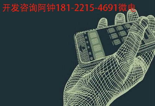 江蘇小葉惠購模式開發(fā)系統(tǒng)定制方案